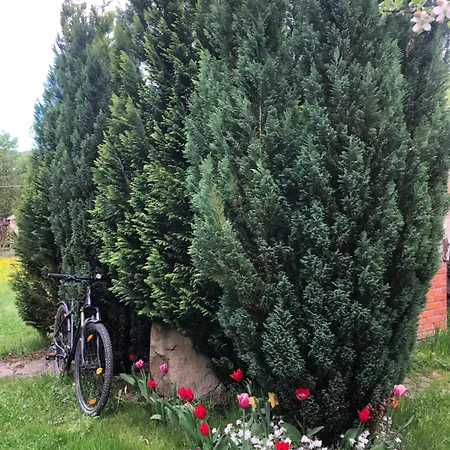 بيت للعطل гірський