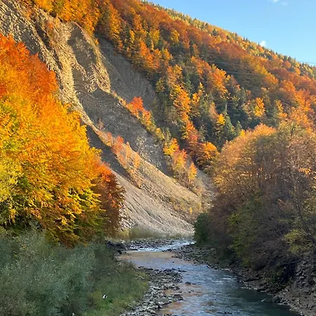 гірський Дом отдыха Яремча
