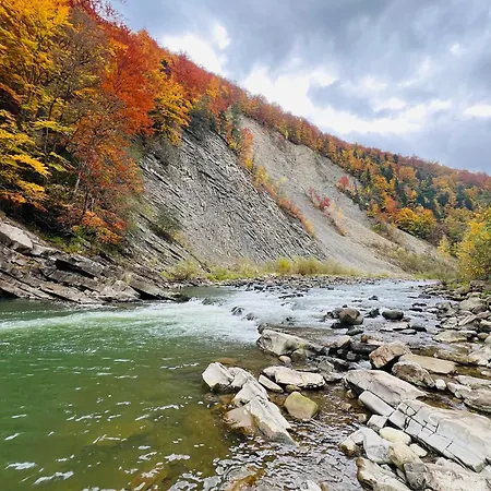 гірський * ياريمتشي