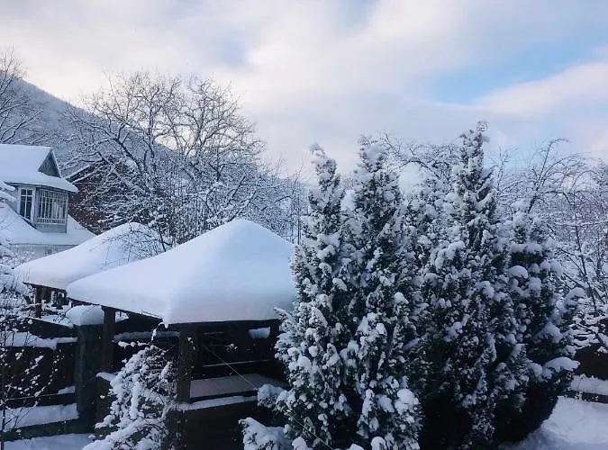 гірський *