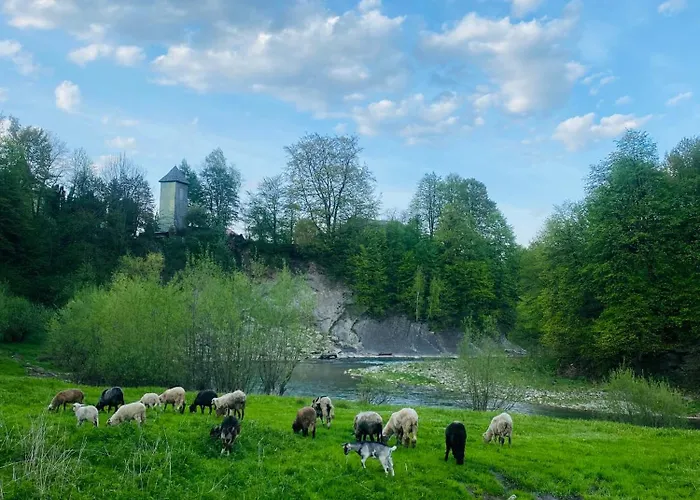гірський Nyaraló
