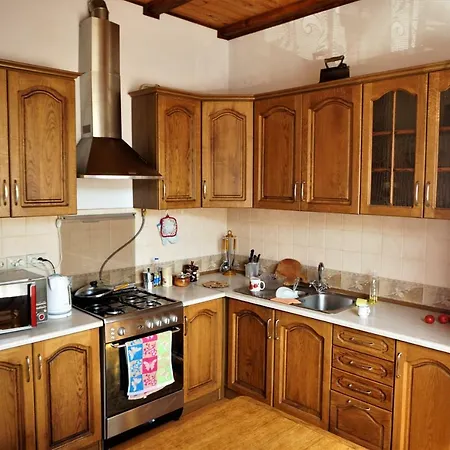 гірський Holiday home