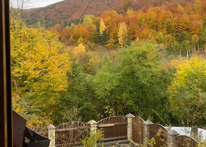 гірський 度假居 *